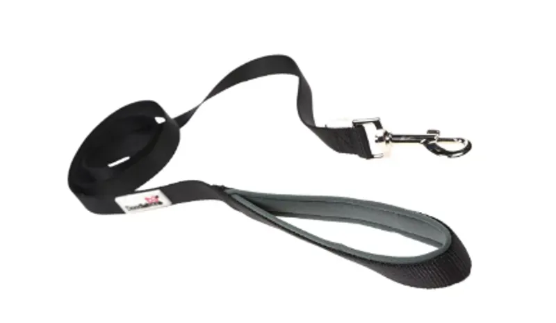 DB Original Lead